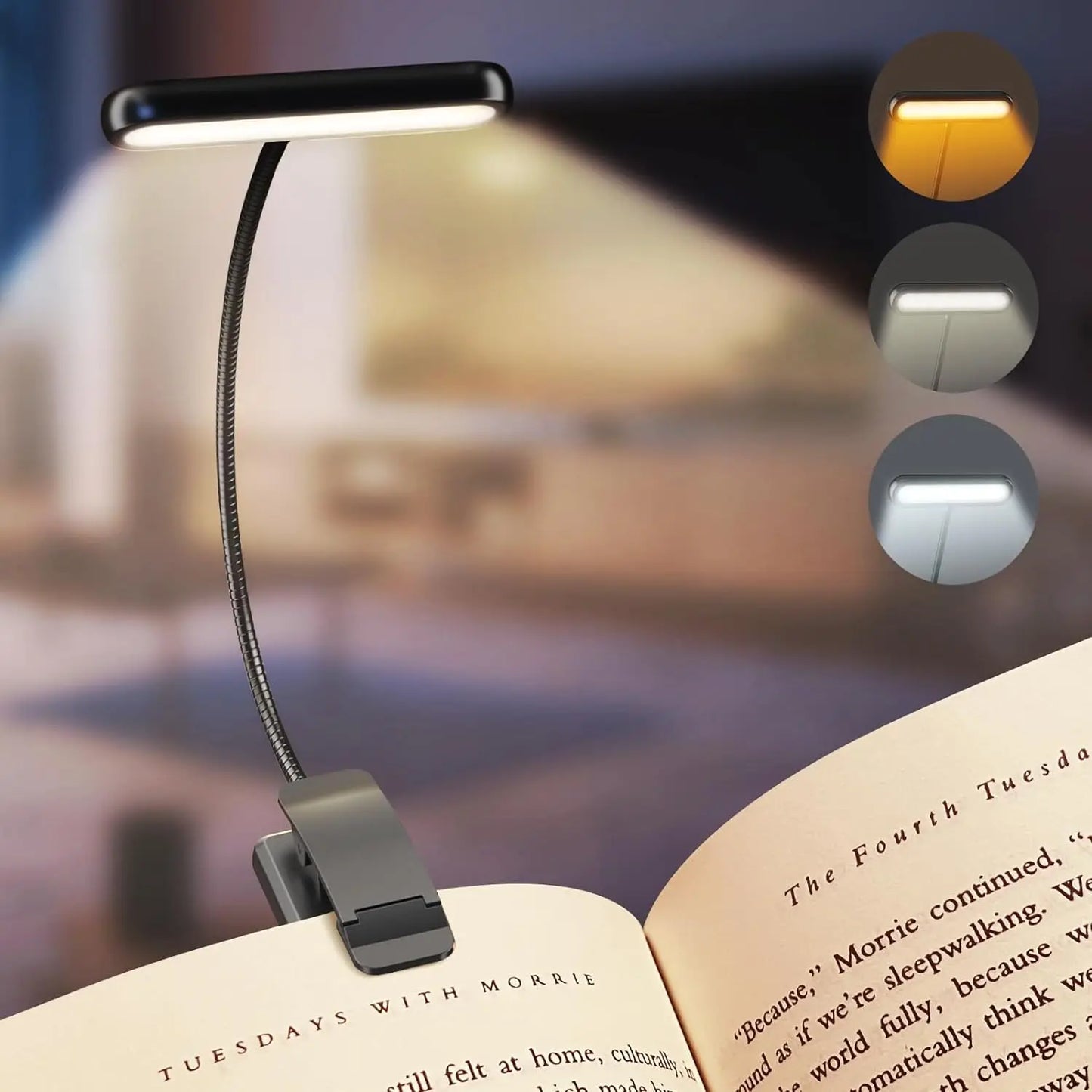 Portable Book Reading Light