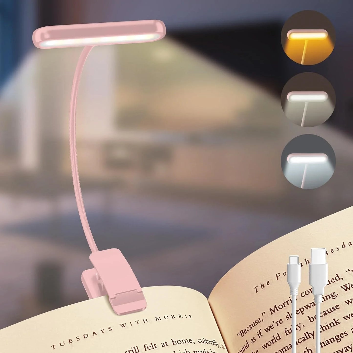 Portable Book Reading Light